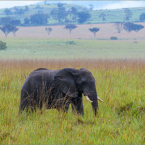 D50_3990.jpg