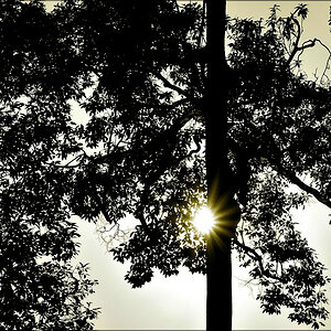 comp_Gegen-Sun-SW.jpg