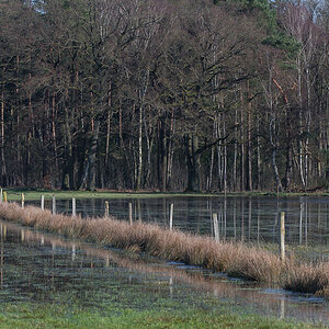 Lüder Moor 1 (1 von 1).jpg