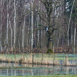 Lüder Moor 2 (1 von 1).jpg