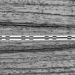 Palisander BW (1 von 1).jpg