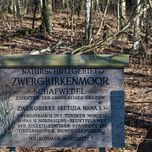 Zwergbirkenmoor (1 von 1).jpg