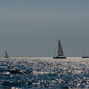 _DSC5118.jpg