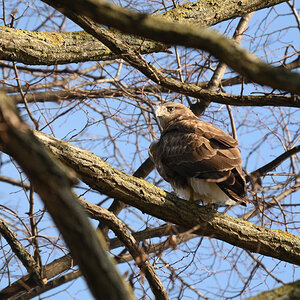 DSC_9922.JPG
