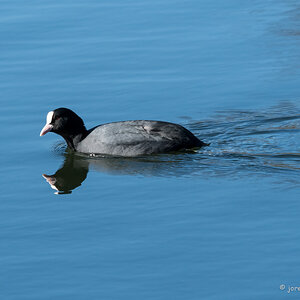20220228-D50_7210-Bearbeitet.jpg