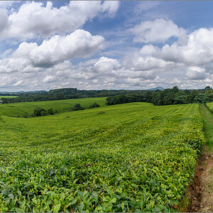 D75_8395-Pano.jpg