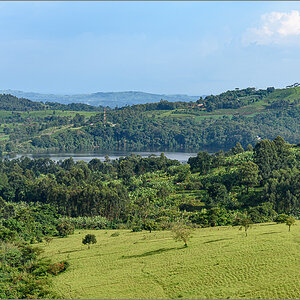 D75_8406.jpg