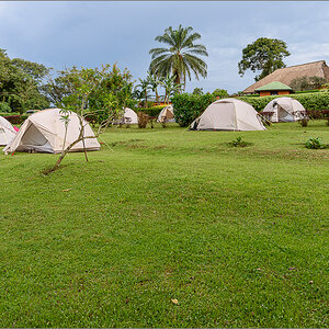 D75_8413.jpg