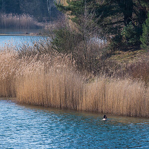 Anbaden am 01.03. (1 von 1).jpg
