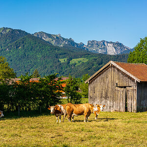 _DSC5188.jpg