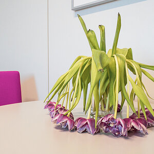 Büroblumen