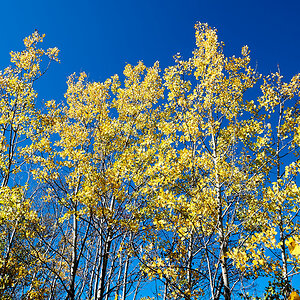 20211004_123624.jpg
