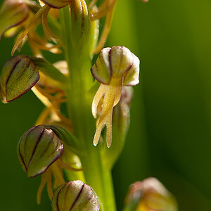 D3_RB152577_DSC1279_13x20.jpg