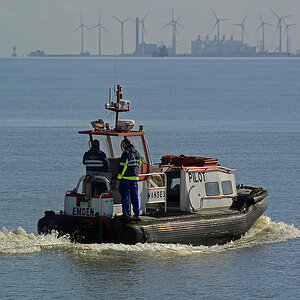 _DSC0705Pxl.jpg