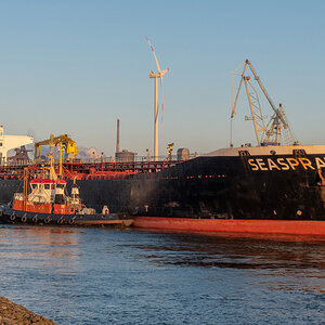 D50_3429_460#.JPG