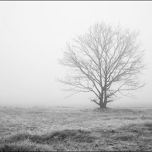 Märznebel BW (1 von 1).jpg