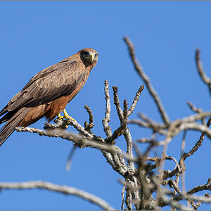 D50_4329-Bearbeitet.jpg