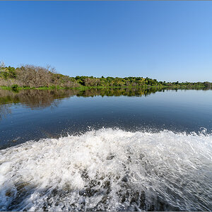 D75_8508.jpg