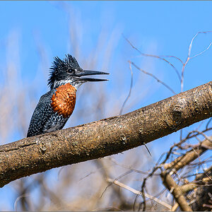 D50_4415-Bearbeitet.jpg