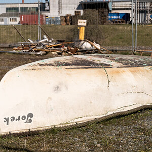 20220311-D50_4013-Bearbeitet.jpg