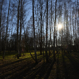 DSC_1098.JPG
