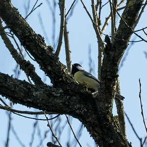 20220312-D50_7278-Bearbeitet.jpg