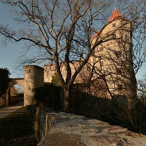 DSC_8812_00001n1.jpg