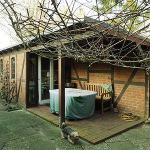 garten.jpg