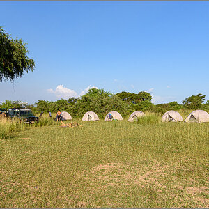 D75_8691.jpg