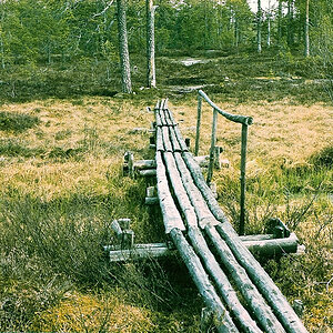 Nordschweden.jpg