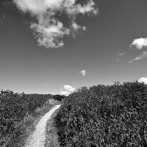 20150427-1504-sylt-268.jpg