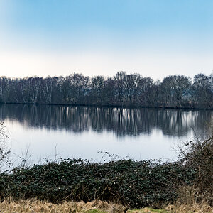 20220315-D50_4071-Bearbeitet.jpg