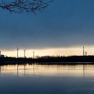 20220315-D50_4099-Bearbeitet.jpg