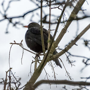 20220315-D50_4117-Bearbeitet.jpg
