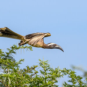 D50_5453-Bearbeitet.jpg