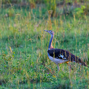 D50_5752.jpg