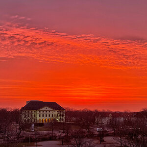IMG_8886.jpg