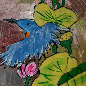 Der blaue Vogel (1 von 1).jpg
