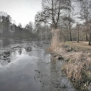 Am Isenhagener See.jpg