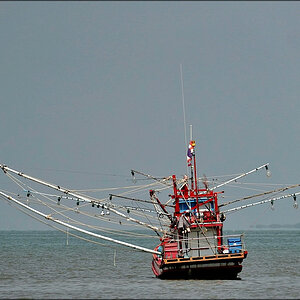 comp_DSC00538.jpg