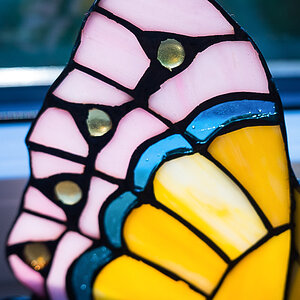 Glasschmetterling (1 von 1).jpg
