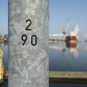 _Z7F9082-_486#.JPG