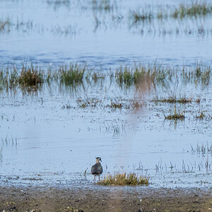 20220326-D50_4227-Bearbeitet.jpg
