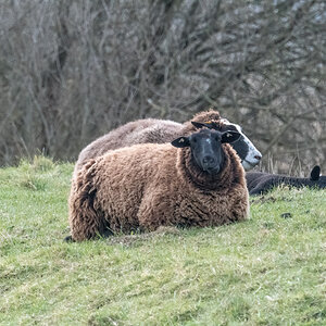 20220326-D50_4281-Bearbeitet.jpg
