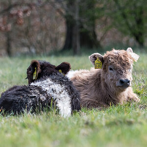 20220326-D50_4288-Bearbeitet.jpg