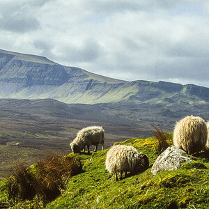 20170116-Schottland_1992_150.jpg