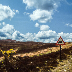 20170120-Schottland_1992_196.jpg