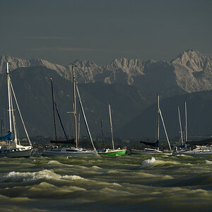 DSC_0782_1.jpg