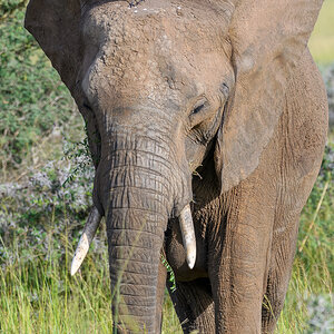 D50_5895-Bearbeitet.jpg
