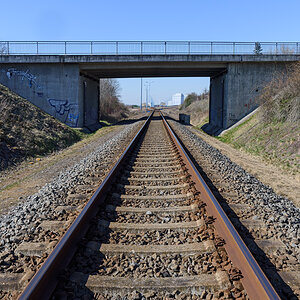 OF2_55579.jpg
